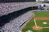 Walking Tour of NYC and Yankees Game