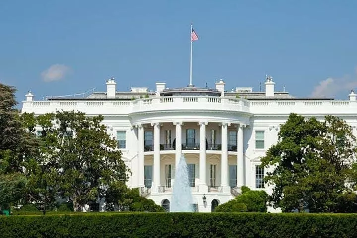 National Mall & Cherry Blossoms with Washington Monument Ticket