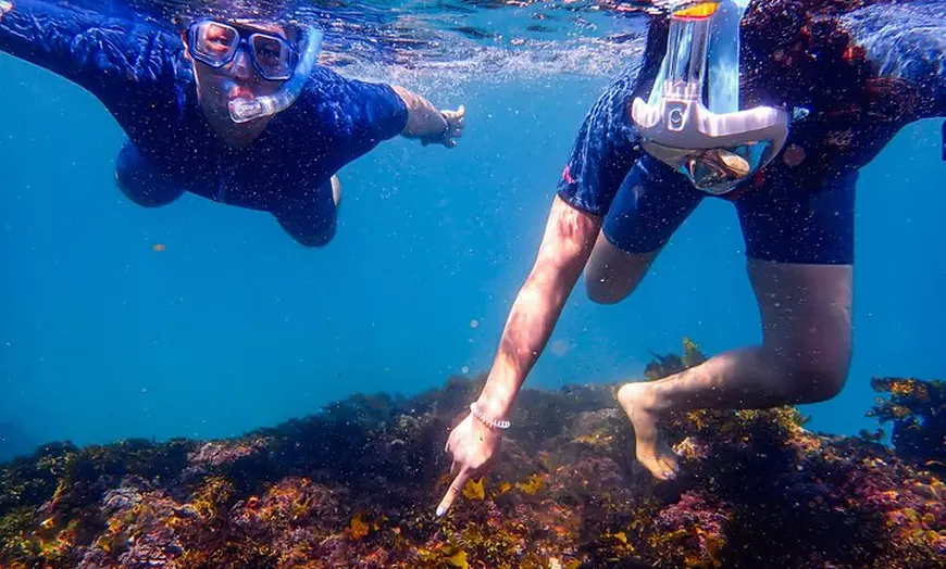Image 14: Snorkeling Adventure for Kids with Private Guide In Sydney