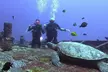 4 Hour Guided Scuba Diving Adventures in Waikiki - Second Medium