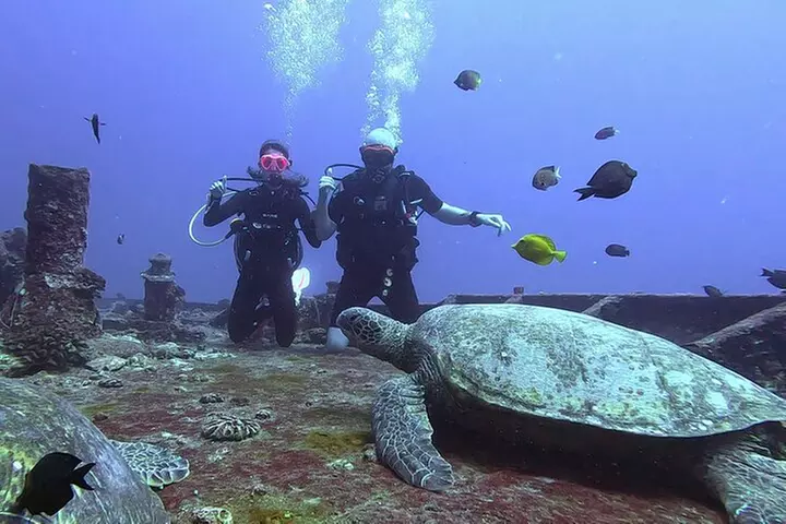4 Hour Guided Scuba Diving Adventures in Waikiki