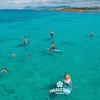 Image 7: Ibiza–Formentera 360° : All-inclusive Boat Trip