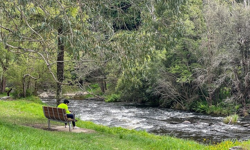 Image 6: Puffing Billy, Forest Trails and Yarra Valley Discovery Tour