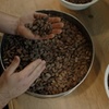 Image 7: Chocolate Manufactory Tasting Journey at York Cocoa Works