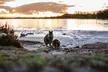 Rottnest Island Seals Sunset and West End Bus Tour - Image 5