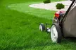 $80 For 1 Month of Mow, Edging, & Weed Whacking (Reg $160.) - Second Medium