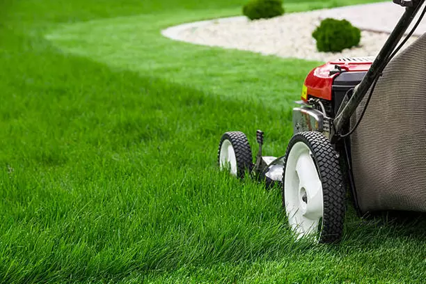 $80 For 1 Month of Mow, Edging, & Weed Whacking (Reg $160.)