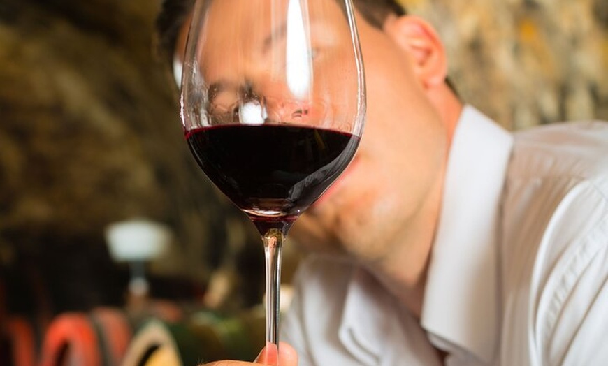 Image 6: Experiencia Premium de Cata de Vinos + Tapas Andaluzas en Sevilla