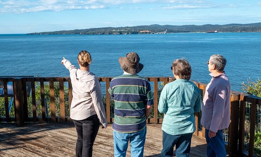 Image 10: Tour from Eden to Merimbula Wetlands Wildlife and Coastline