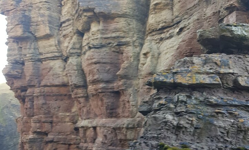 Image 3: Bespoke Private Guided Tours