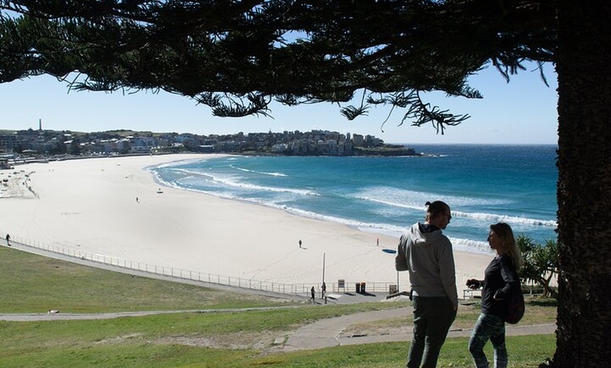 Image 18: Showcase Sydney with Photographer + Harbour Cruise Full Day Tour