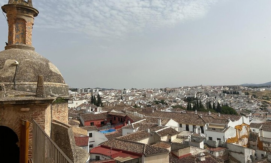 Image 4: Desde Marbella/Estepona: Tour privado VIP por Ronda con tapas y ent...