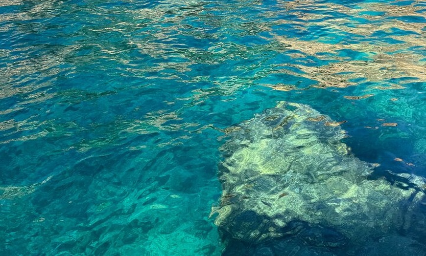 Image 5: Un Bateau Privatisé, dans les Calanques de Port d'Alon !