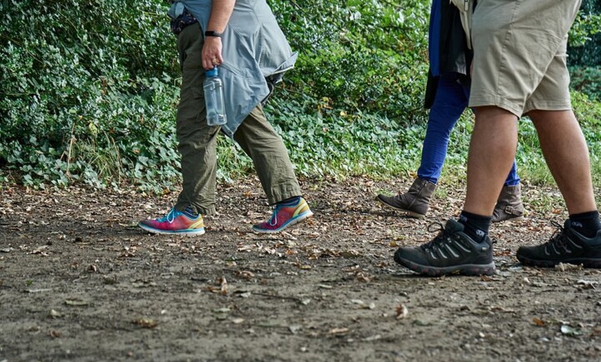Image 6: Guided Forest Bathing Walk in a Hidden SE London Woodland