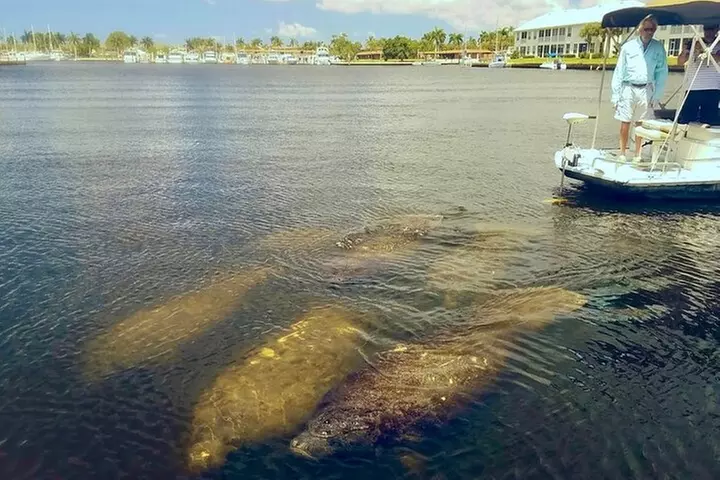 Manatee, Dolphin and 10,000 Islands Sunset Cruise!