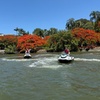 Image 6: Brisbane River Jet Ski Tour