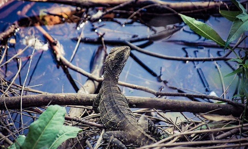 Image 10: Sydney: Ku-ring-gai Chase National Park with Hike, Swim, Picnic