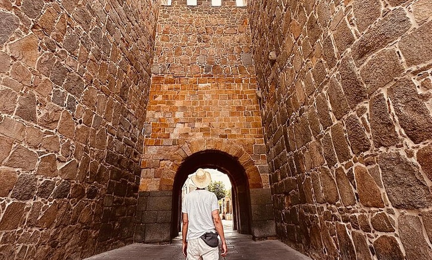 Image 2: Viaja por Segovia y Ávila en un Grupo Pequeño desde Madrid