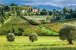 Horseback Riding and Wine Tasting Tour - Second Medium