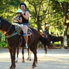 Image 11: ATV Zipline and Cenote Adventure in Puerto Morelos