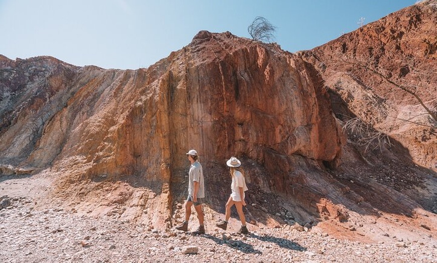 Image 18: West MacDonnell Ranges & Standley Chasm Day Trip from Alice Springs
