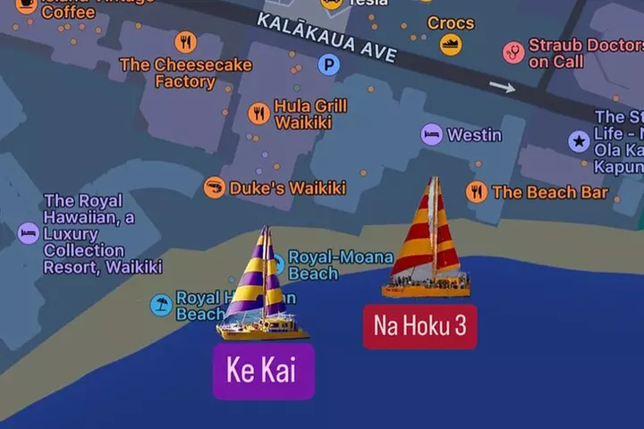 90 Minute Turtle Canyon Waikiki Catamaran Snorkel