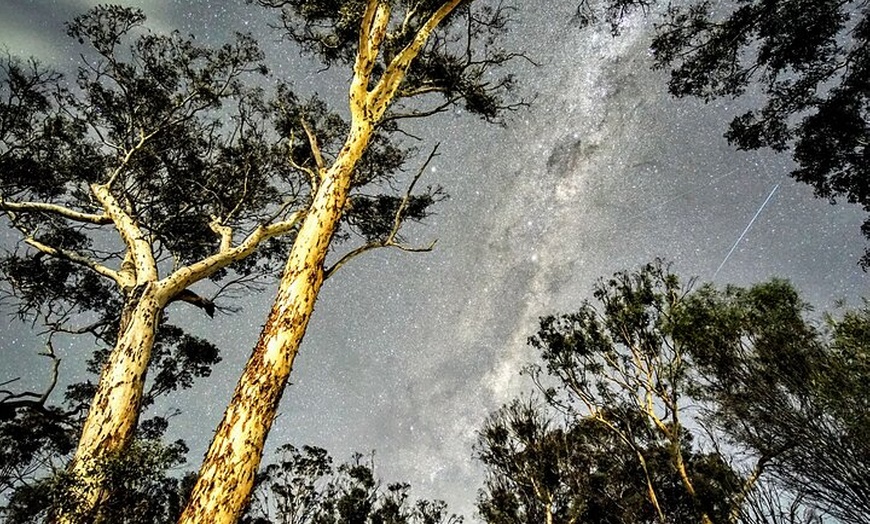 Image 18: Australian Animal Night Safari