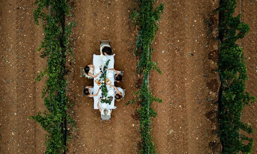 Image 25: Ibiza : Cata privada de vinos y aceites de oliva y Tapas y transporte