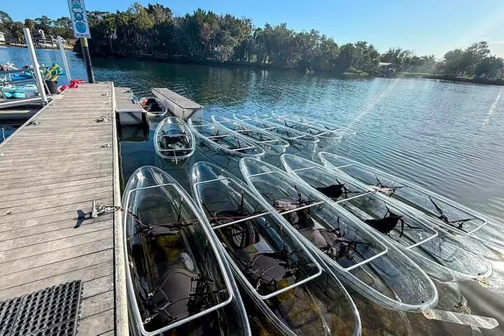 Clear Kayak Manatee Ecotour of Crystal River