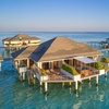 Image 13: ✈ MALEDIVEN | Alif Dhaal Atoll - Villa Park Sun Island Resort 5*, 7...