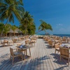 Image 8: ✈ MALDIVES | Alif Dhaal Atoll - Vilamendhoo Island Resort & Spa 4* ...