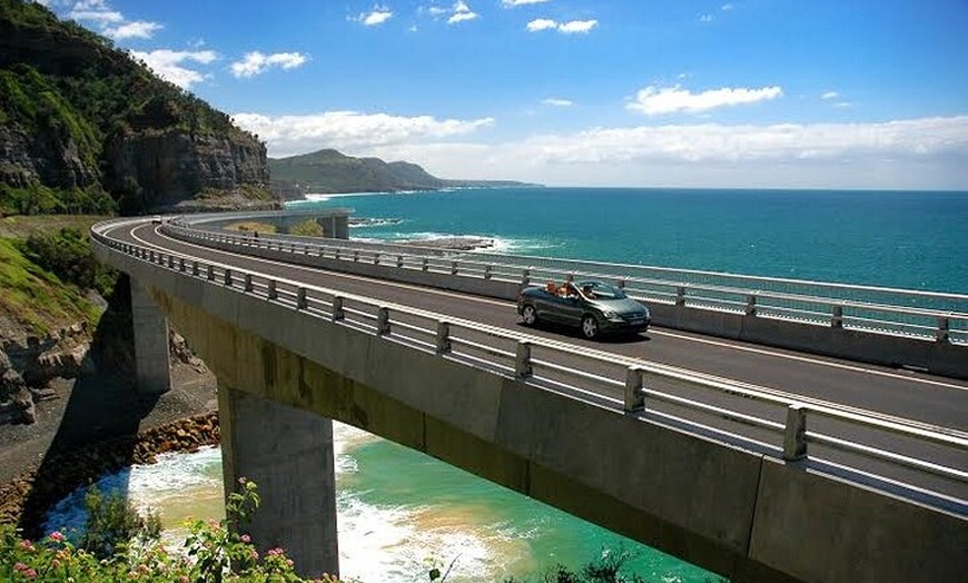 Image 5: Jervis Bay Full Day Tour Dolphin Cruise and Kiama Blowhole