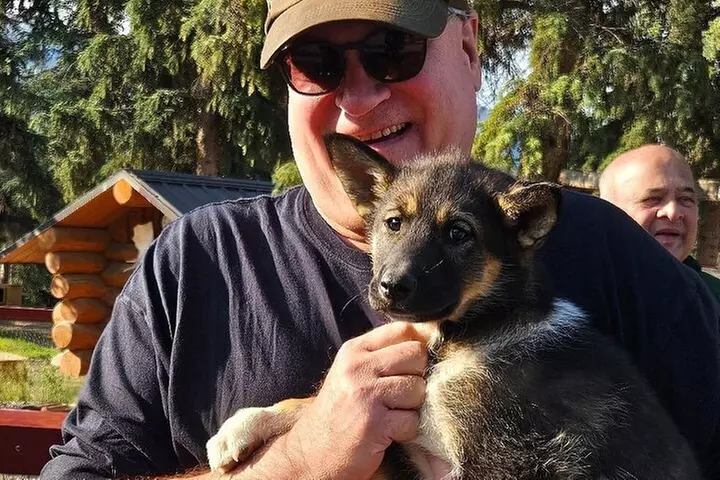 Husky Homestead Tour