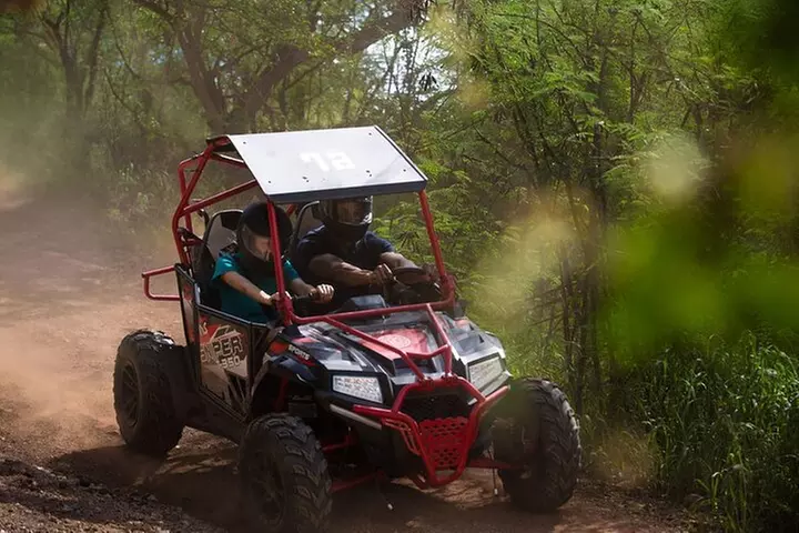 Off-Road ATV & 3 Zipline Tour (Optional Waikiki Transportation) - Primary Image