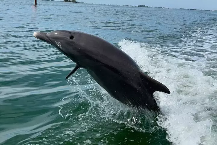 Clearwater Beach Private Pontoon Boat Tours