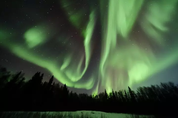 Electric Moose Studios Aurora Adventure W/Portraits & Hot Pizza!!