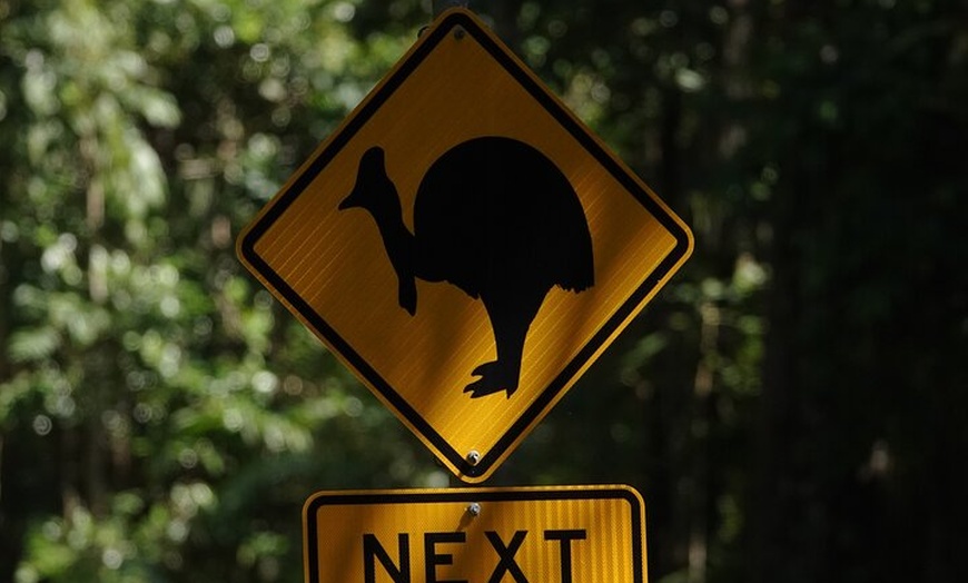 Image 12: Private Luxury Tour Above the Canopy Kuranda Experience