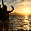 Image 3: Marbella: Crucero al atardecer en catamarán con aperitivos y bebidas