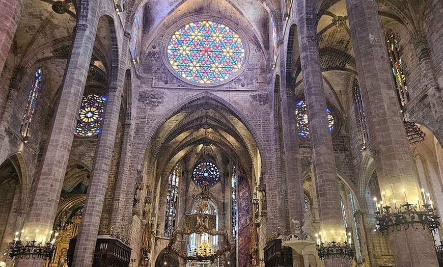 Image 17: Palacios, Jardines y Catedral de Palma