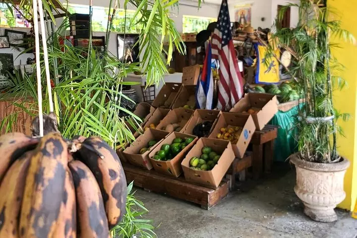 Authentic Little Havana Food and Culture Walking Tour