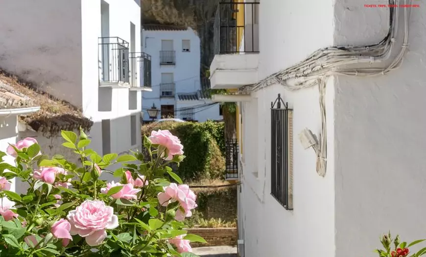 Image 3: Día en Pueblos Blancos y Ronda desde Sevilla