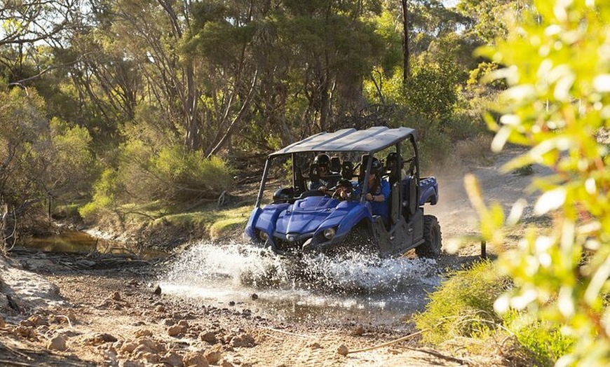 Image 8: Ultimate Buggy Tour in Kangaroo Island