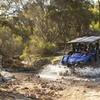 Image 8: Ultimate Buggy Tour in Kangaroo Island
