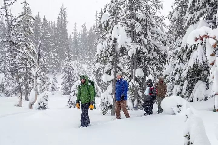 Guided Snowshoe Tour in Bend, Oregon