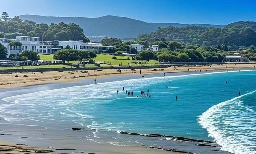 Image 7: Melbourne Great Ocean Road Mercedes Mini Bus & Luxury Coach Tour