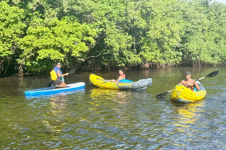 Fort Lauderdale: Kayak/SUP on Mangroves w/ Snacks & Drinks
