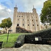 Image 5: Private Tour: The Iconic Tower of London