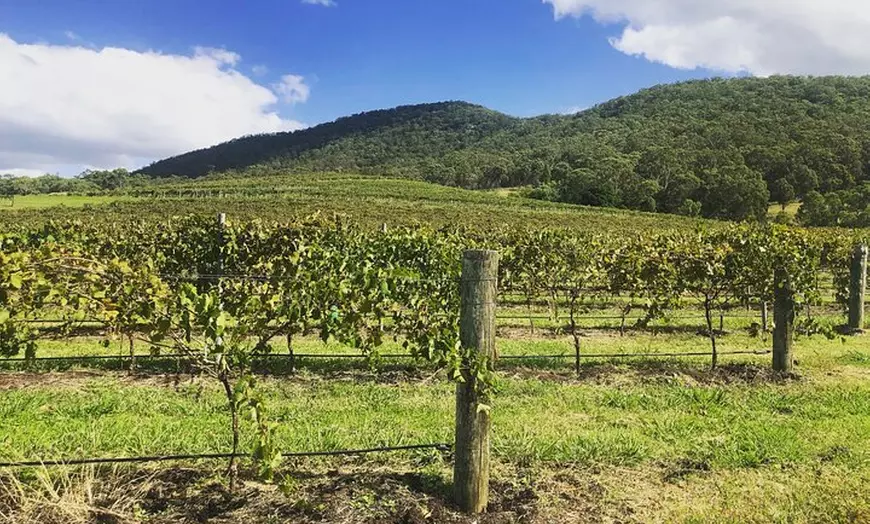 Image 10: Sydney Hunter Valley Boutique 4WD Tour with Lunch and Sunset