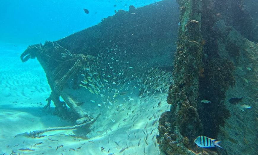 Image 8: Snorkel Adventure in Cancun
