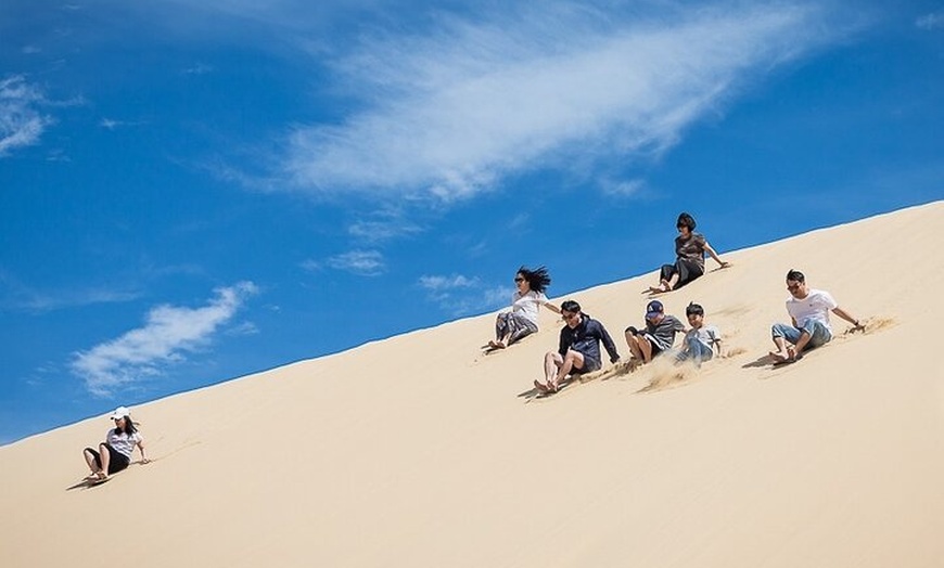Image 9: Port Stephens Dolphin Cruise Koalas Sandboarding Japanese Tour